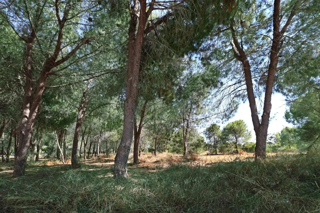 Cozy Holiday Apartment In Larnaca Near Foinikoudes